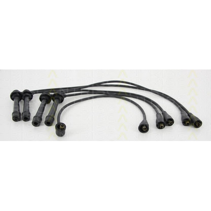 Photo Ignition Cable Kit TRISCAN 886069009