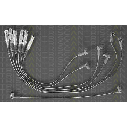 Foto Juego de cables de encendido TRISCAN 88607153