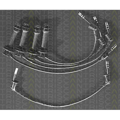 Foto Juego de cables de encendido TRISCAN 88607183