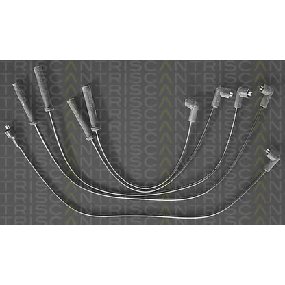 Foto Juego de cables de encendido TRISCAN 88607221