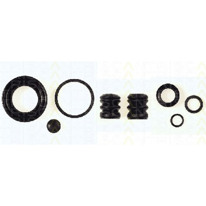 Photo Repair Kit, brake caliper TRISCAN 8170203407