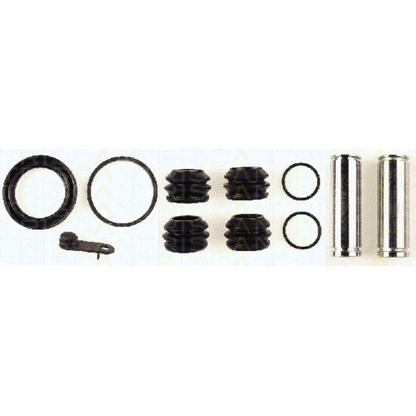 Photo Repair Kit, brake caliper TRISCAN 8170204833