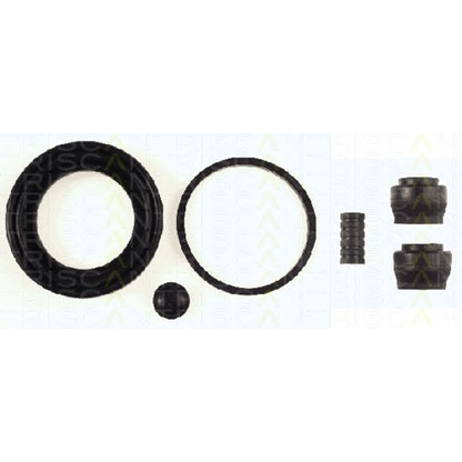 Photo Repair Kit, brake caliper TRISCAN 8170204879