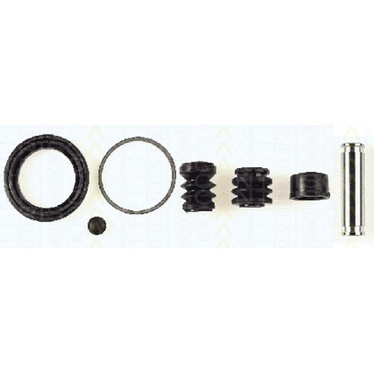 Photo Repair Kit, brake caliper TRISCAN 8170205471