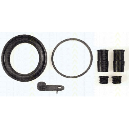 Photo Repair Kit, brake caliper TRISCAN 8170205704