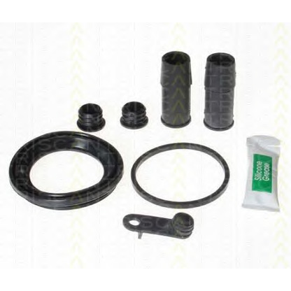 Photo Repair Kit, brake caliper TRISCAN 8170205739