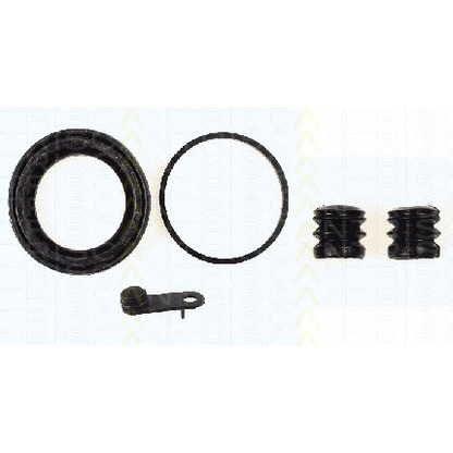 Photo Repair Kit, brake caliper TRISCAN 8170206005