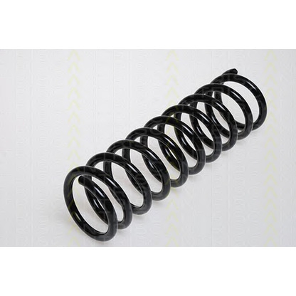 Photo Coil Spring TRISCAN 87501106