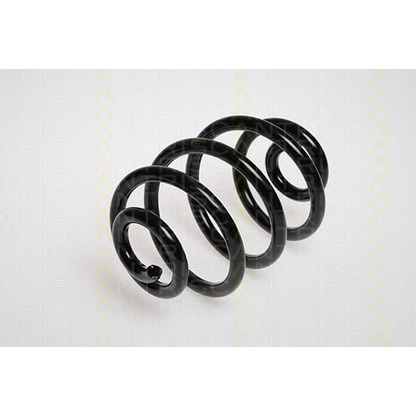 Photo Coil Spring TRISCAN 87501125