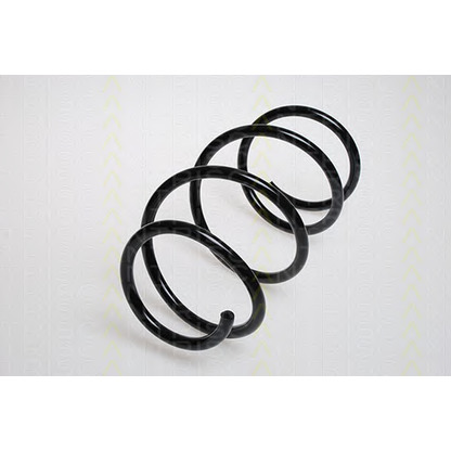 Photo Coil Spring TRISCAN 87501128