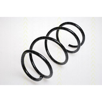 Photo Coil Spring TRISCAN 87501130