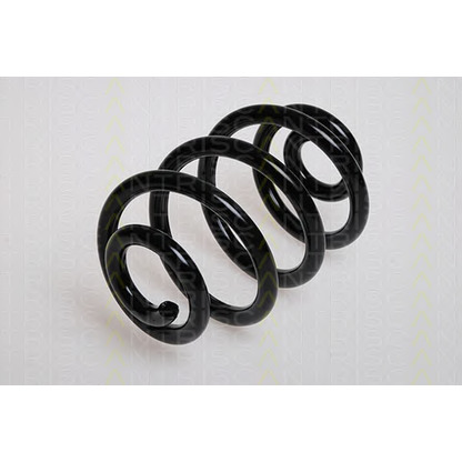 Photo Coil Spring TRISCAN 87501140