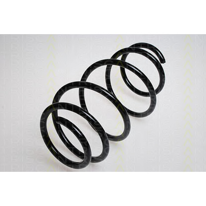 Photo Coil Spring TRISCAN 87501165