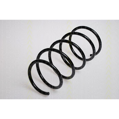 Photo Coil Spring TRISCAN 87501169