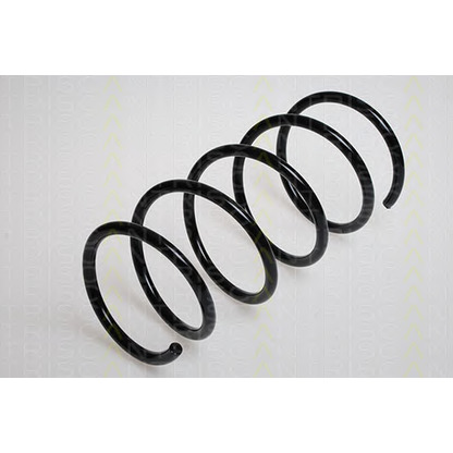 Photo Coil Spring TRISCAN 87501170