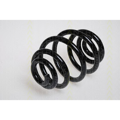 Photo Coil Spring TRISCAN 87501172