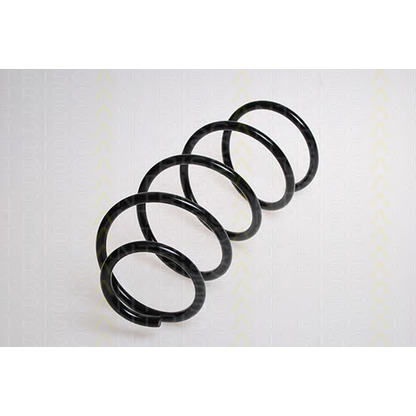 Photo Coil Spring TRISCAN 87501179