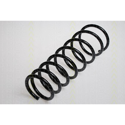 Photo Coil Spring TRISCAN 87501380