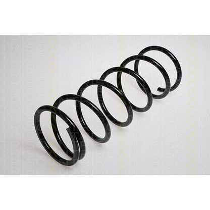 Photo Coil Spring TRISCAN 87501397
