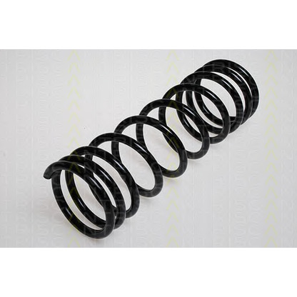 Photo Coil Spring TRISCAN 87501431