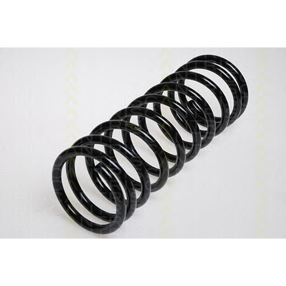 Photo Coil Spring TRISCAN 87501454