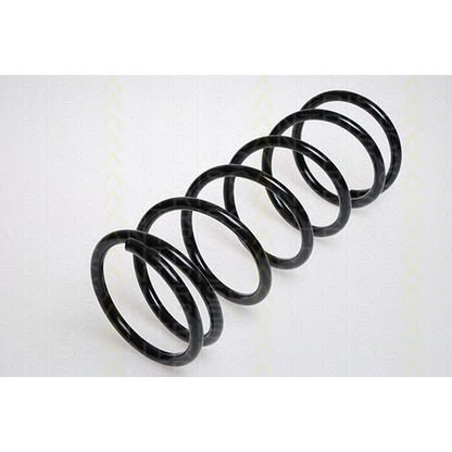 Photo Coil Spring TRISCAN 87501455