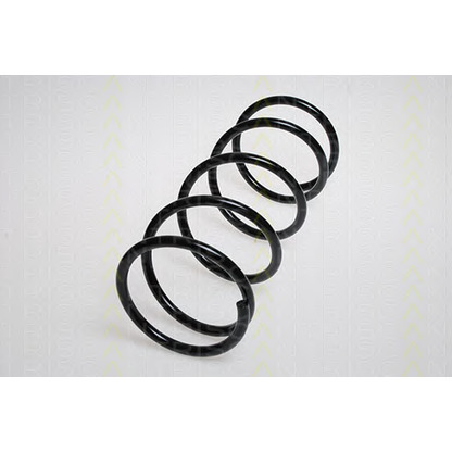 Photo Coil Spring TRISCAN 87501465