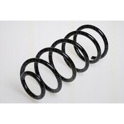 Photo Coil Spring TRISCAN 87501542