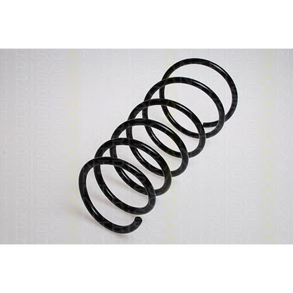 Photo Coil Spring TRISCAN 87501560