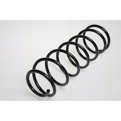 Photo Coil Spring TRISCAN 87501611