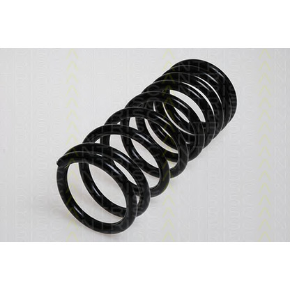 Photo Coil Spring TRISCAN 87501617