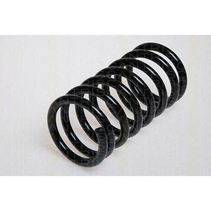 Photo Coil Spring TRISCAN 87501620