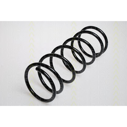 Photo Coil Spring TRISCAN 87501623