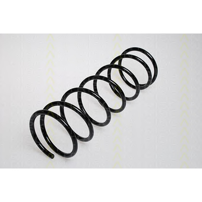 Photo Coil Spring TRISCAN 87501627