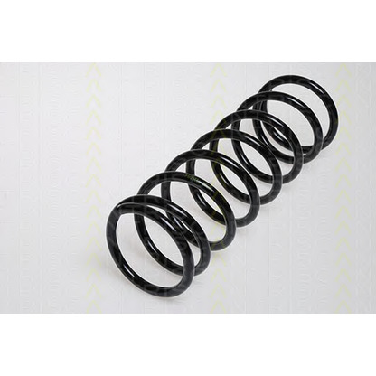 Photo Coil Spring TRISCAN 87501639