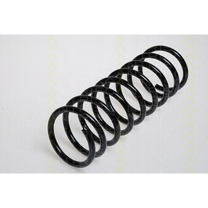 Photo Coil Spring TRISCAN 87501643