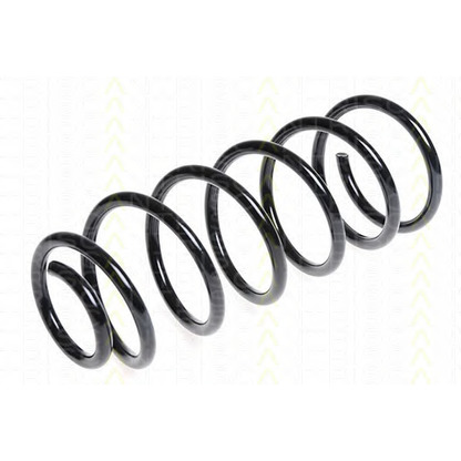 Photo Coil Spring TRISCAN 87501853