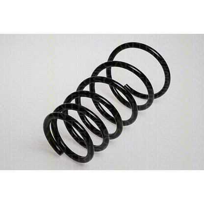 Photo Coil Spring TRISCAN 87502103