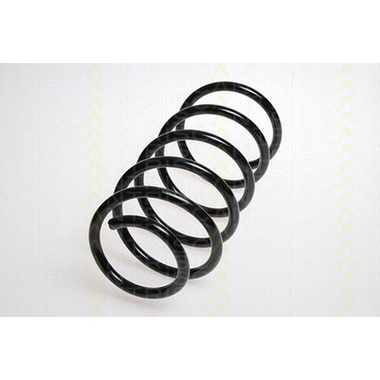 Photo Coil Spring TRISCAN 87502112