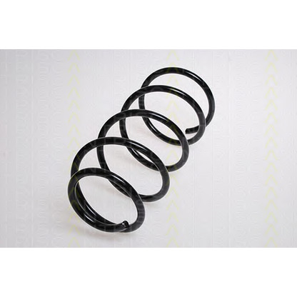 Photo Coil Spring TRISCAN 87502115
