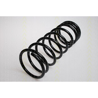 Photo Coil Spring TRISCAN 87502374