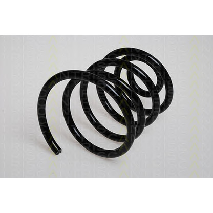 Photo Coil Spring TRISCAN 87502406
