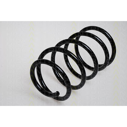 Photo Coil Spring TRISCAN 87502474