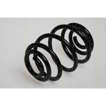 Photo Coil Spring TRISCAN 87502493