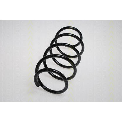 Photo Coil Spring TRISCAN 87502561