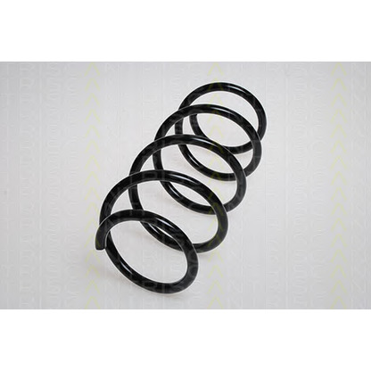 Photo Coil Spring TRISCAN 87502565