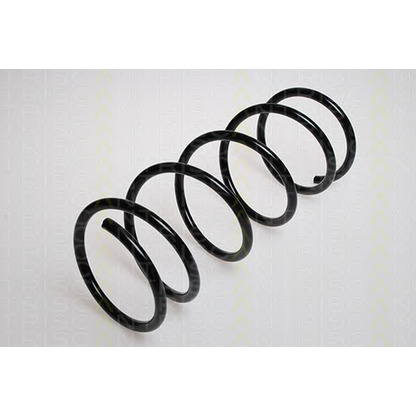 Photo Coil Spring TRISCAN 87502860