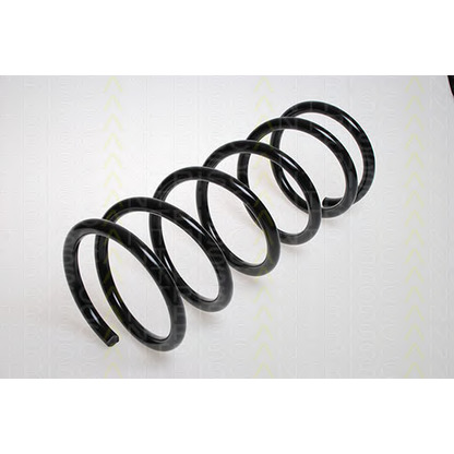 Photo Coil Spring TRISCAN 87502870