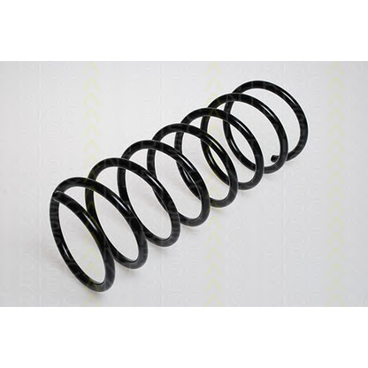 Photo Coil Spring TRISCAN 87502903