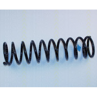 Photo Coil Spring TRISCAN 87502904